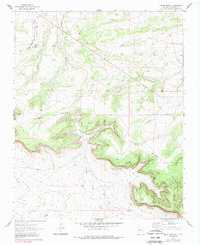 Download a high-resolution, GPS-compatible USGS topo map for Rincon Marquez, NM (1989 edition)