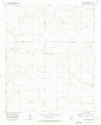 Download a high-resolution, GPS-compatible USGS topo map for Rippee Ranch, NM (1976 edition)