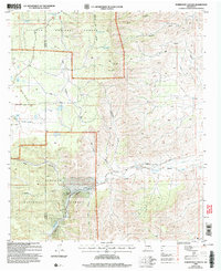 Download a high-resolution, GPS-compatible USGS topo map for Robertson Canyon, NM (2006 edition)