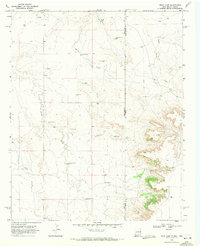 Download a high-resolution, GPS-compatible USGS topo map for Rock Camp, NM (1971 edition)