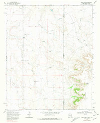 Download a high-resolution, GPS-compatible USGS topo map for Rock Camp, NM (1981 edition)