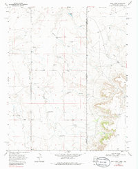 Download a high-resolution, GPS-compatible USGS topo map for Rock Camp, NM (1986 edition)