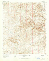 Download a high-resolution, GPS-compatible USGS topo map for Rock House Canyon, NM (1964 edition)