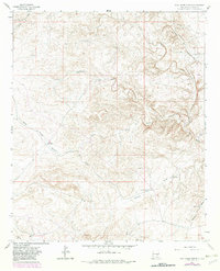 Download a high-resolution, GPS-compatible USGS topo map for Rock House Canyon, NM (1982 edition)