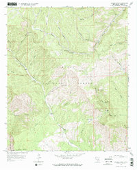 Download a high-resolution, GPS-compatible USGS topo map for Rogers Ruins, NM (1968 edition)