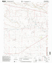 Download a high-resolution, GPS-compatible USGS topo map for Royce, NM (2001 edition)
