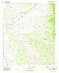 Download a high-resolution, GPS-compatible USGS topo map for Sabinata Flat, NM (1982 edition)