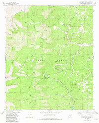 Download a high-resolution, GPS-compatible USGS topo map for Sacramento Peak, NM (1982 edition)