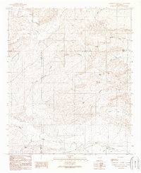 Download a high-resolution, GPS-compatible USGS topo map for Sagebrush Valley East, NM (1989 edition)