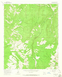 Download a high-resolution, GPS-compatible USGS topo map for Saliz Pass, NM (1965 edition)