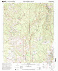 Download a high-resolution, GPS-compatible USGS topo map for Saliz Pass, NM (2002 edition)