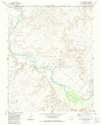 Download a high-resolution, GPS-compatible USGS topo map for Sallies Spring, NM (1984 edition)