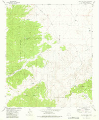 Download a high-resolution, GPS-compatible USGS topo map for Salvation Peak, NM (1981 edition)