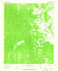 Download a high-resolution, GPS-compatible USGS topo map for San Geronimo, NM (1965 edition)