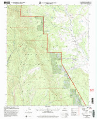 Download a high-resolution, GPS-compatible USGS topo map for San Geronimo, NM (2003 edition)