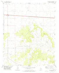Download a high-resolution, GPS-compatible USGS topo map for San Ignacio, NM (1978 edition)