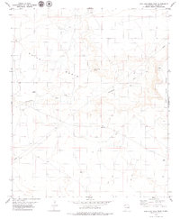 Download a high-resolution, GPS-compatible USGS topo map for San Juan Mesa West, NM (1979 edition)