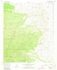 Download a high-resolution, GPS-compatible USGS topo map for San Juan Peak, NM (1981 edition)