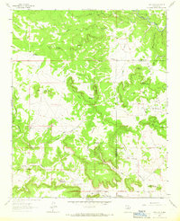 Download a high-resolution, GPS-compatible USGS topo map for San Juan, NM (1966 edition)