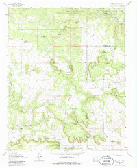 Download a high-resolution, GPS-compatible USGS topo map for San Juan, NM (1986 edition)