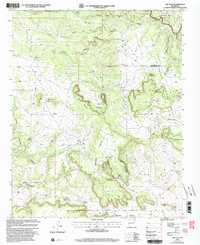 Download a high-resolution, GPS-compatible USGS topo map for San Juan, NM (2003 edition)