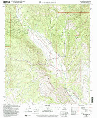 Download a high-resolution, GPS-compatible USGS topo map for San Lorenzo, NM (2002 edition)