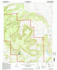 Download a high-resolution, GPS-compatible USGS topo map for San Lucas Dam, NM (1998 edition)