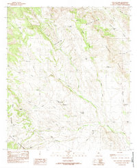 Download a high-resolution, GPS-compatible USGS topo map for San Luis Pass, NM (1982 edition)