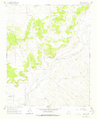 Download a high-resolution, GPS-compatible USGS topo map for San Luis, NM (1978 edition)
