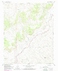 Download a high-resolution, GPS-compatible USGS topo map for San Luis, NM (1989 edition)