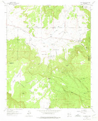 Download a high-resolution, GPS-compatible USGS topo map for San Mateo, NM (1975 edition)