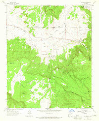 Download a high-resolution, GPS-compatible USGS topo map for San Mateo, NM (1965 edition)