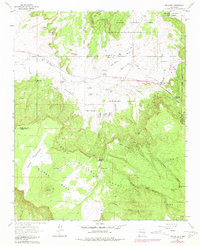 Download a high-resolution, GPS-compatible USGS topo map for San Mateo, NM (1981 edition)