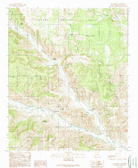 Download a high-resolution, GPS-compatible USGS topo map for San Patricio, NM (1989 edition)