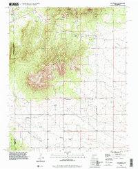 Download a high-resolution, GPS-compatible USGS topo map for San Pedro, NM (1996 edition)