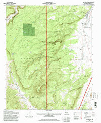Download a high-resolution, GPS-compatible USGS topo map for San Rafael, NM (1998 edition)