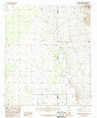 Download a high-resolution, GPS-compatible USGS topo map for San Simon Cienega, NM (1987 edition)