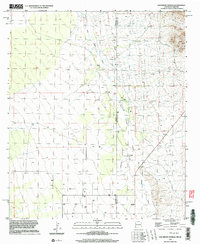 Download a high-resolution, GPS-compatible USGS topo map for San Simon Cienega, NM (2003 edition)