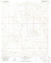 Download a high-resolution, GPS-compatible USGS topo map for San Simon Sink, NM (1984 edition)