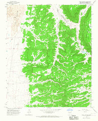 Download a high-resolution, GPS-compatible USGS topo map for Sand Canyon, NM (1967 edition)