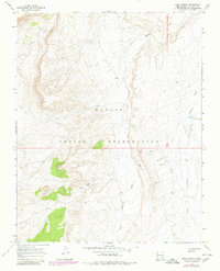 Download a high-resolution, GPS-compatible USGS topo map for Sand Spring, NM (1980 edition)