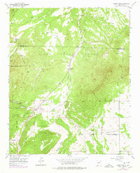 Download a high-resolution, GPS-compatible USGS topo map for Sandia Park, NM (1978 edition)