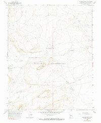 Download a high-resolution, GPS-compatible USGS topo map for Sanostee East, NM (1990 edition)