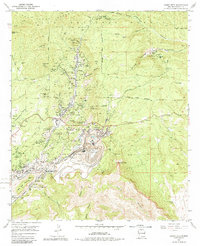 Download a high-resolution, GPS-compatible USGS topo map for Santa Rita, NM (1983 edition)