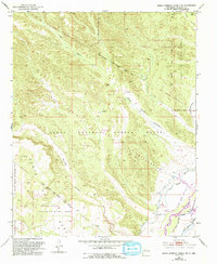 Download a high-resolution, GPS-compatible USGS topo map for Santo Domingo Pueblo SW, NM (1993 edition)