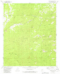 Download a high-resolution, GPS-compatible USGS topo map for Sawmill Peak, NM (1981 edition)
