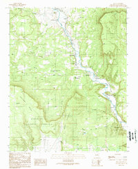 Download a high-resolution, GPS-compatible USGS topo map for Sena, NM (1989 edition)