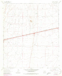 Download a high-resolution, GPS-compatible USGS topo map for Separ NE, NM (1980 edition)