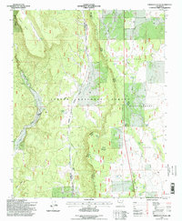 Download a high-resolution, GPS-compatible USGS topo map for Servilleta Plaza, NM (1998 edition)