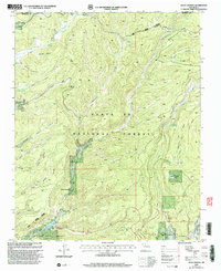 Download a high-resolution, GPS-compatible USGS topo map for Seven Springs, NM (2003 edition)